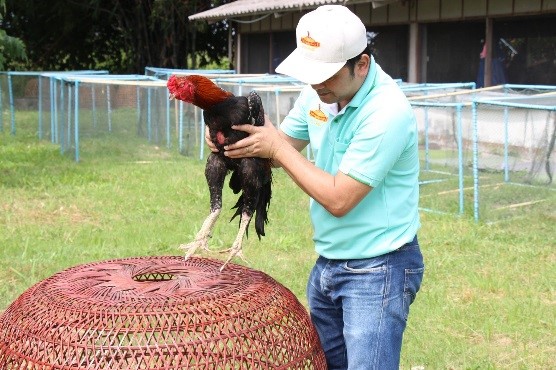 Breeder selection