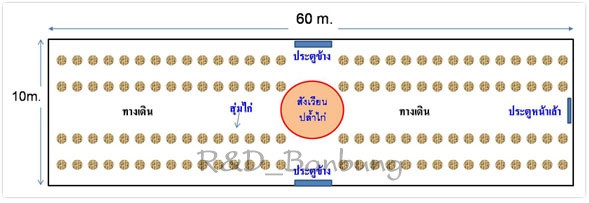 ผังเล้าสุ่ม