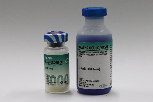 Newcastle Vaccine and Bronchitis Contagious (ND IB)
