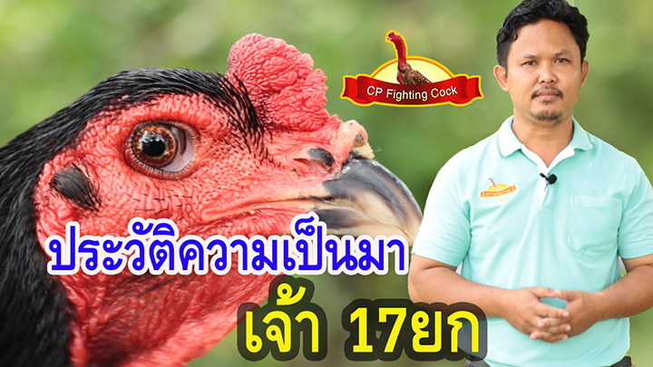 ประวัติ เจ้า 17 ยก